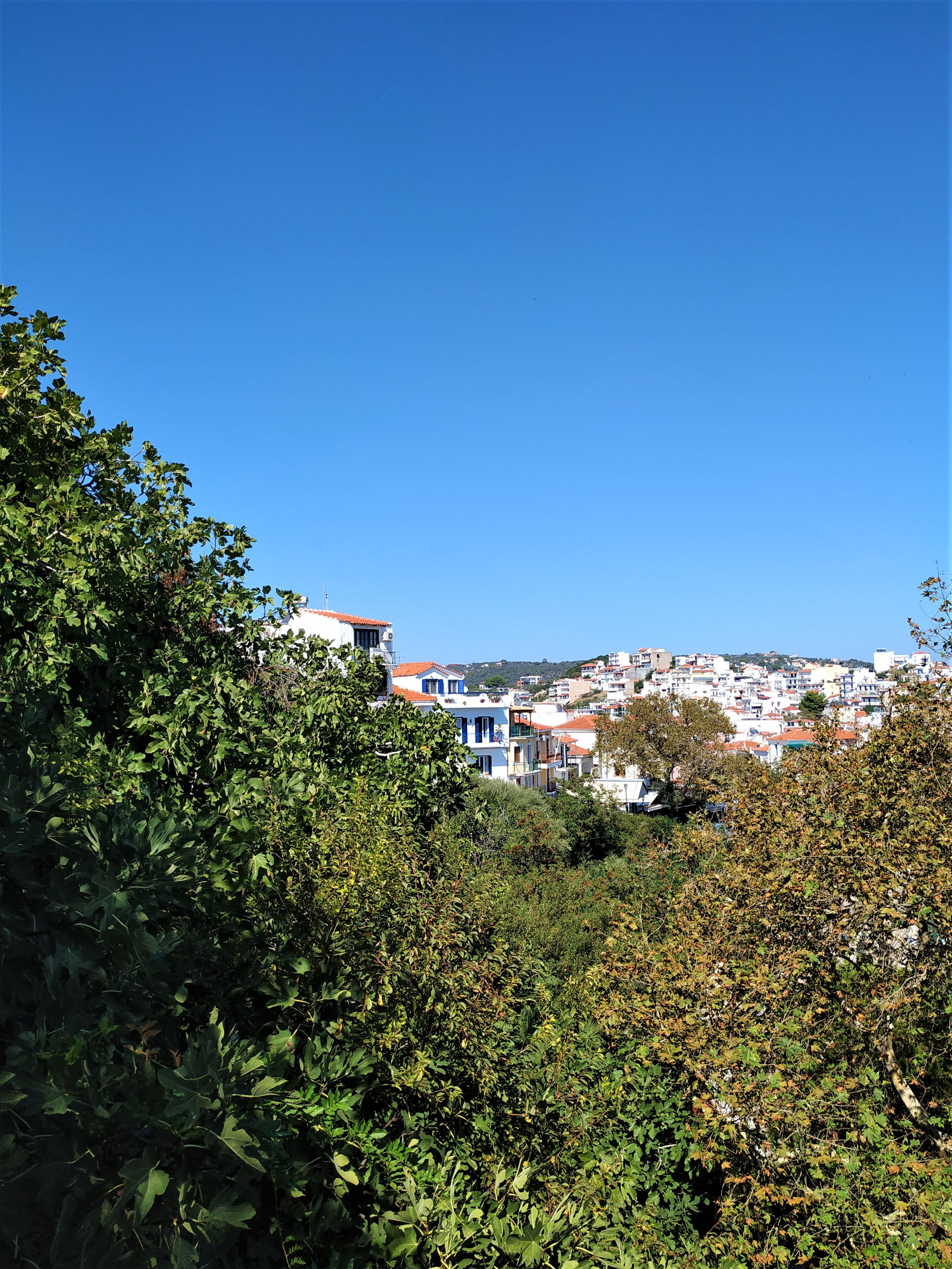 Argo Pension Skiathos Exterior foto