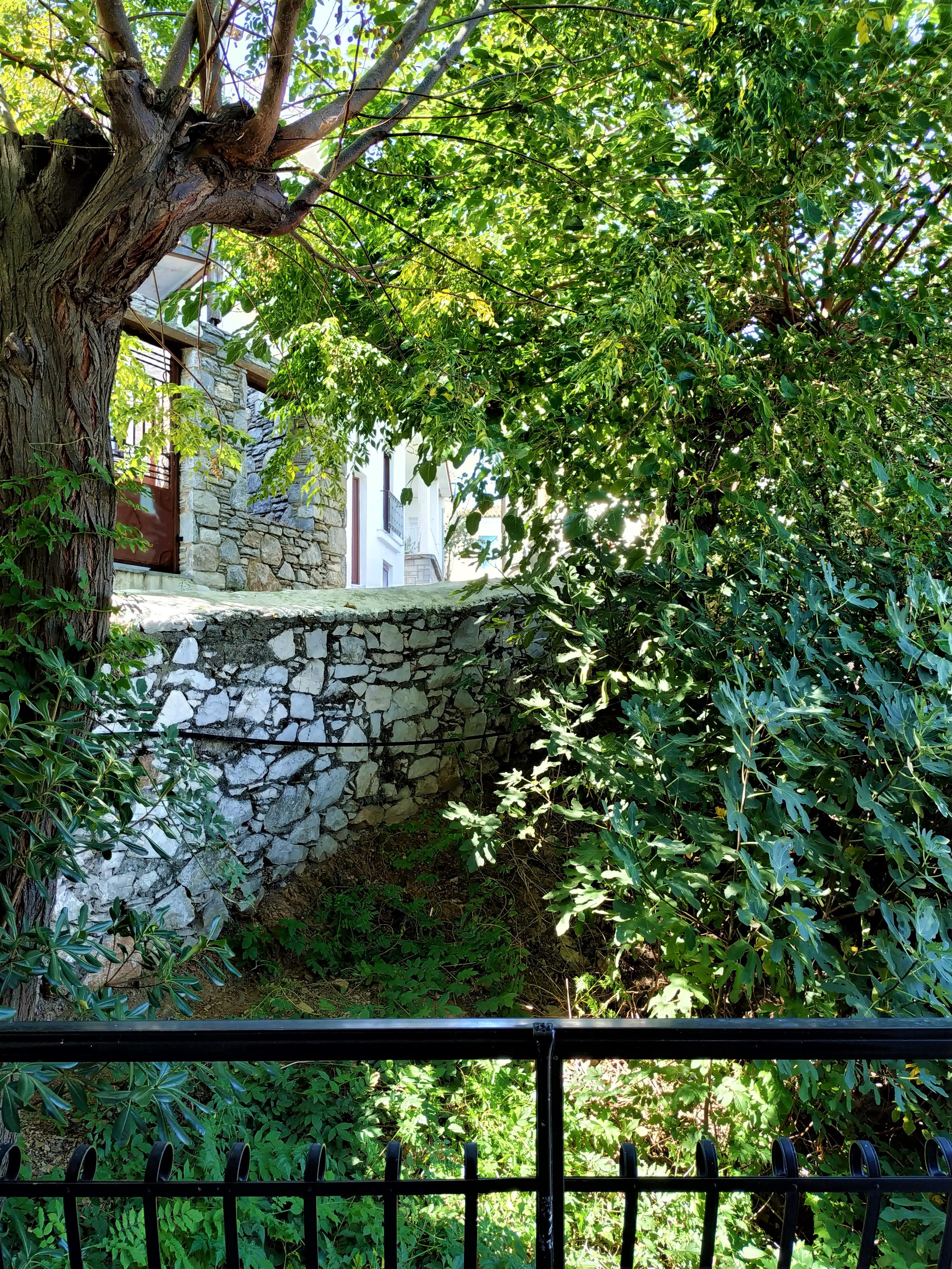 Argo Pension Skiathos Exterior foto