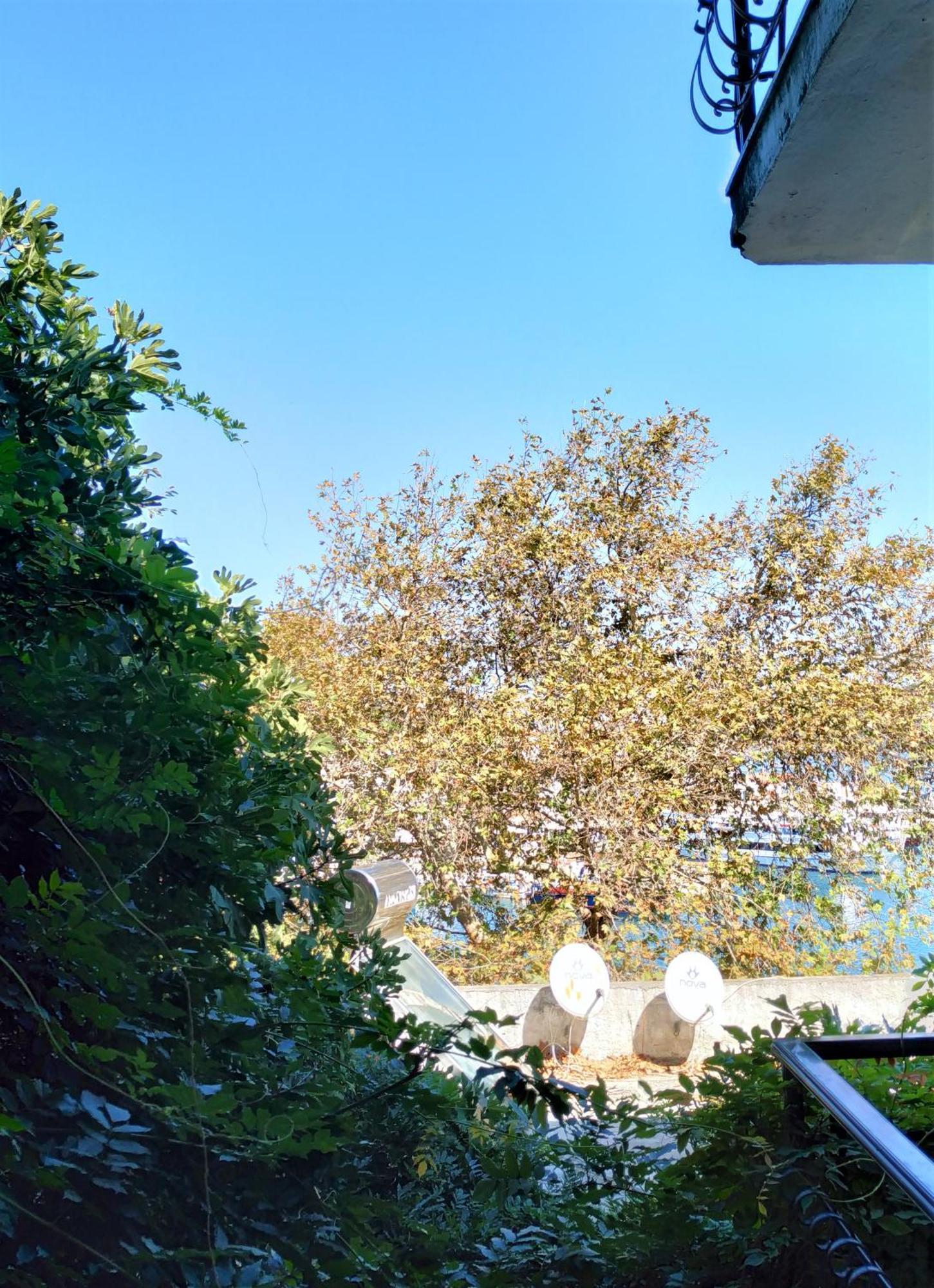 Argo Pension Skiathos Habitación foto