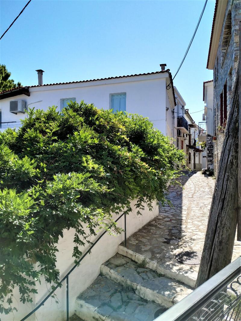 Argo Pension Skiathos Exterior foto